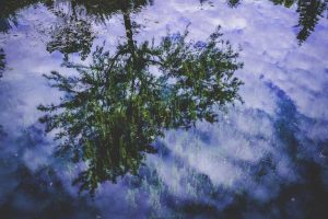 Investir dans les cryptomonnaies en 2025 : le guide ultime