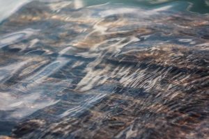 Conseils de mode durable pour l&rsquo;automne 2025 : tendances éco-responsables