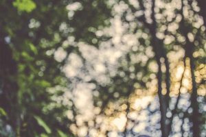 Comment diversifier son portefeuille d&rsquo;actions en 2025