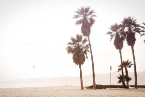 Prévisions économiques 2025 et impact sur vos finances