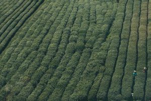 Tendances de l&rsquo;assurance-maladie personnalisée en 2025