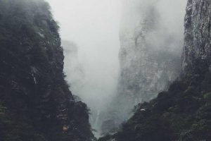 Tendances incontournables des cartes de crédit en 2025