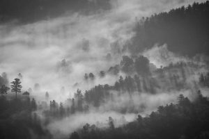 Tendances émergentes des cryptomonnaies en 2025