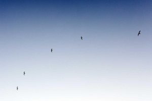 Voici 50 sujets de blogs tendance en 2025 pour votre site