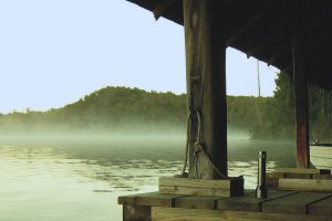 Tendances émergentes du paiement mobile en 2026