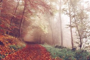 Voici 50 sujets de blog tendance pour 2026